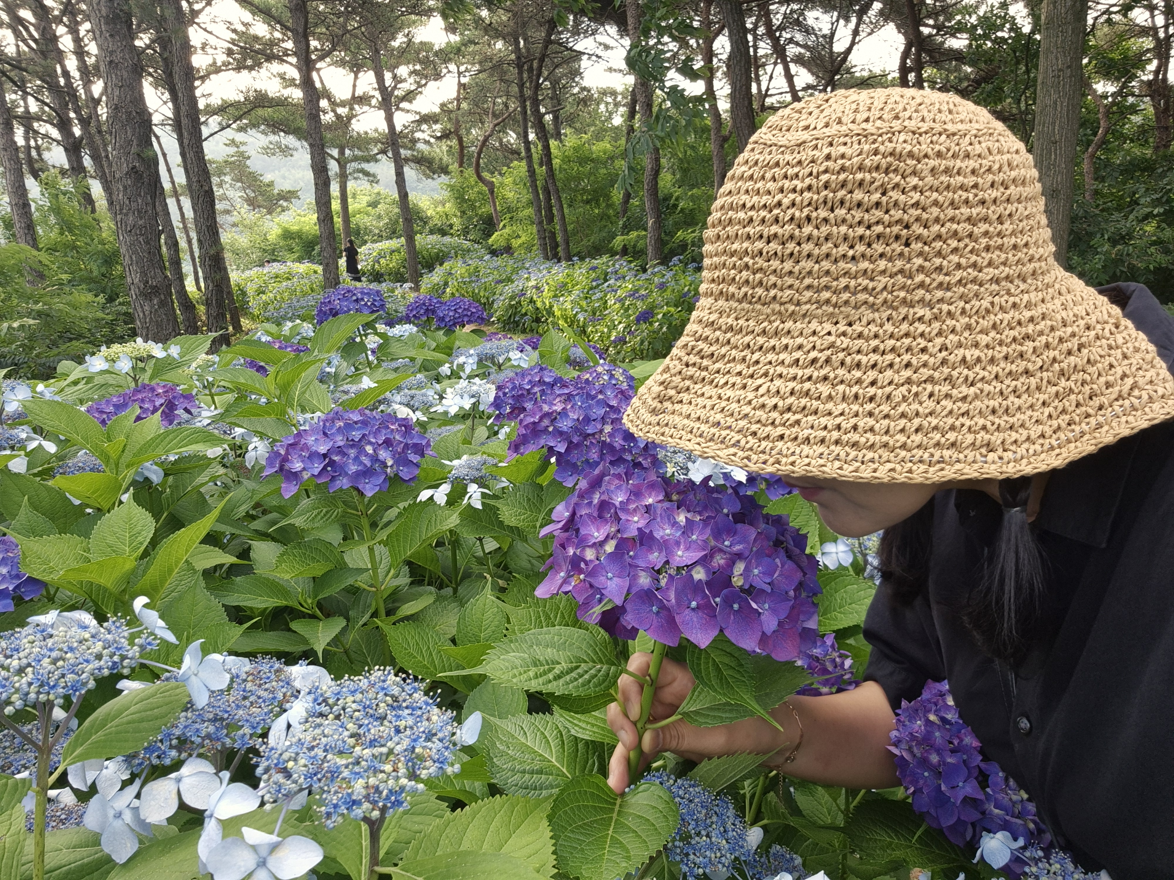 프로필 이미지