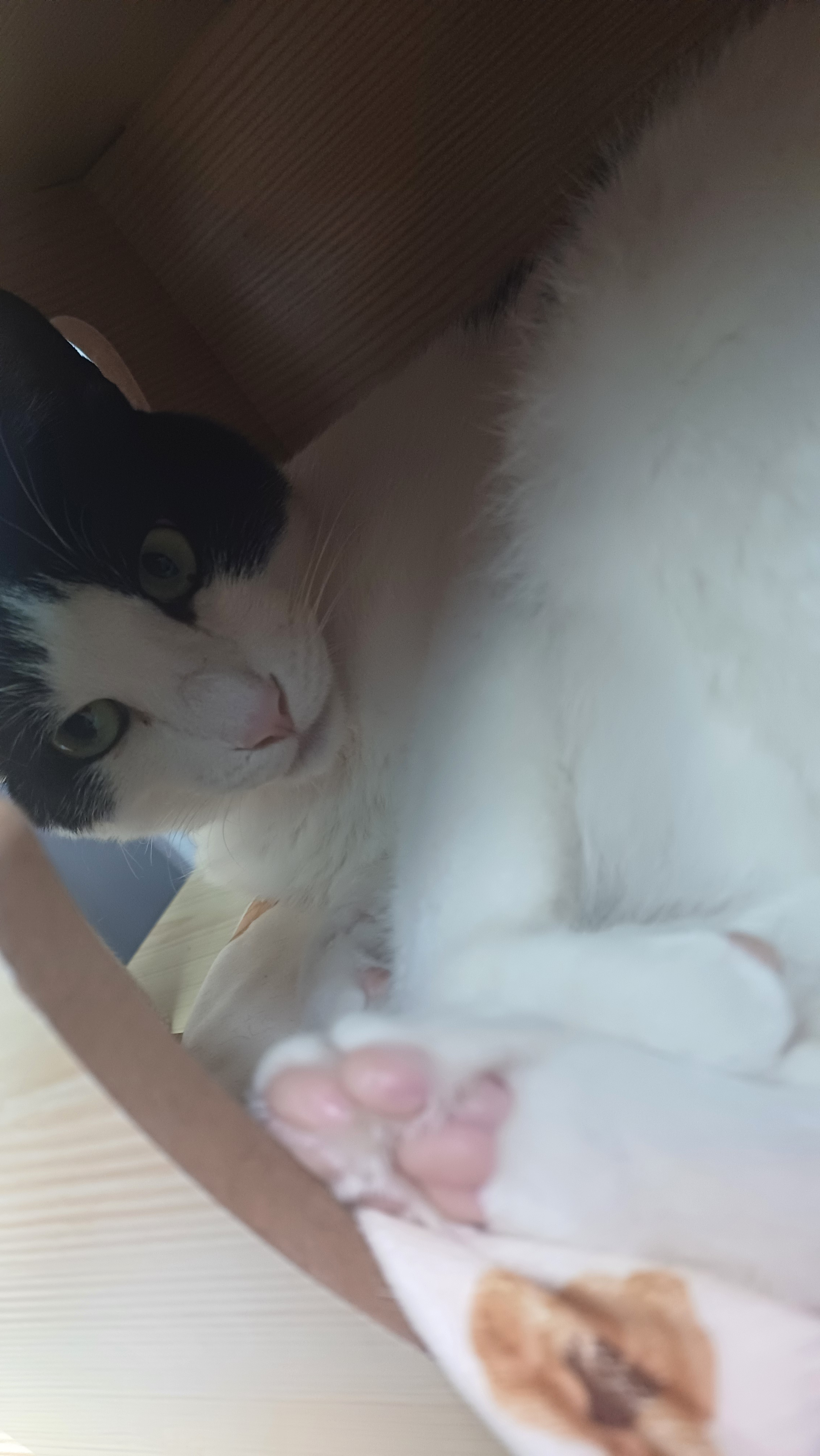 프로필 이미지