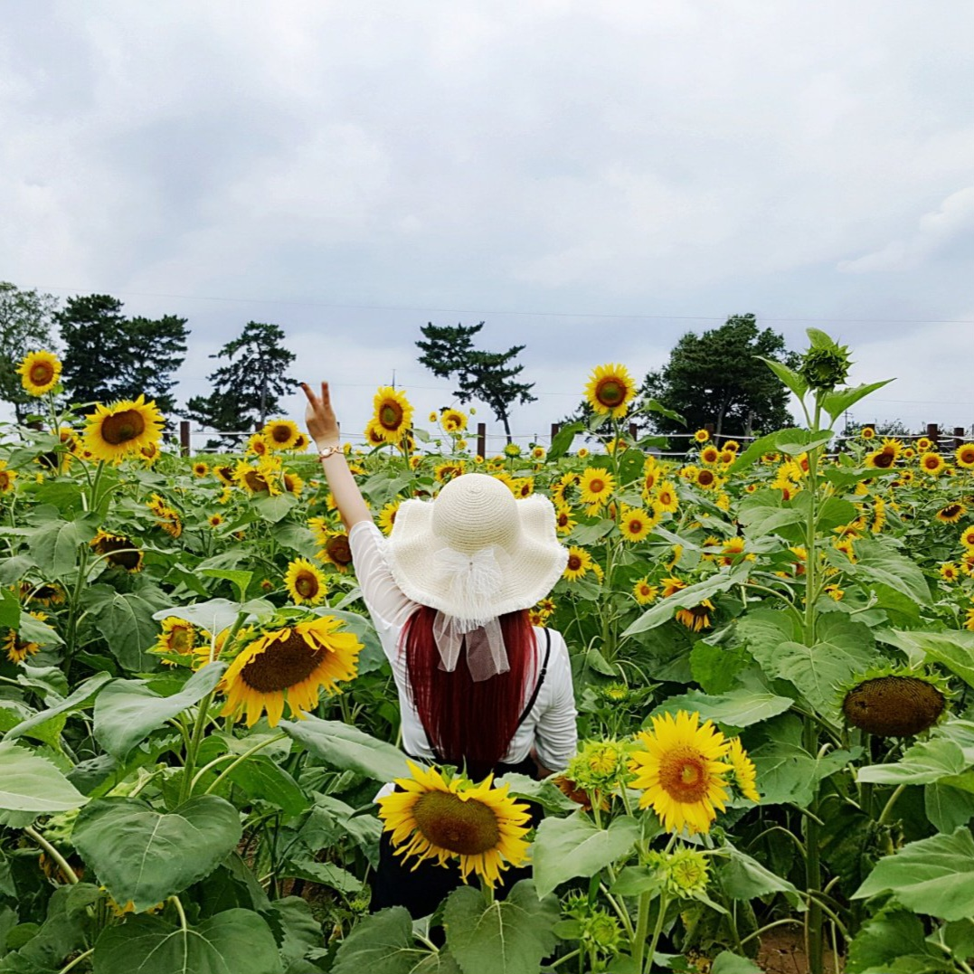 프로필 이미지