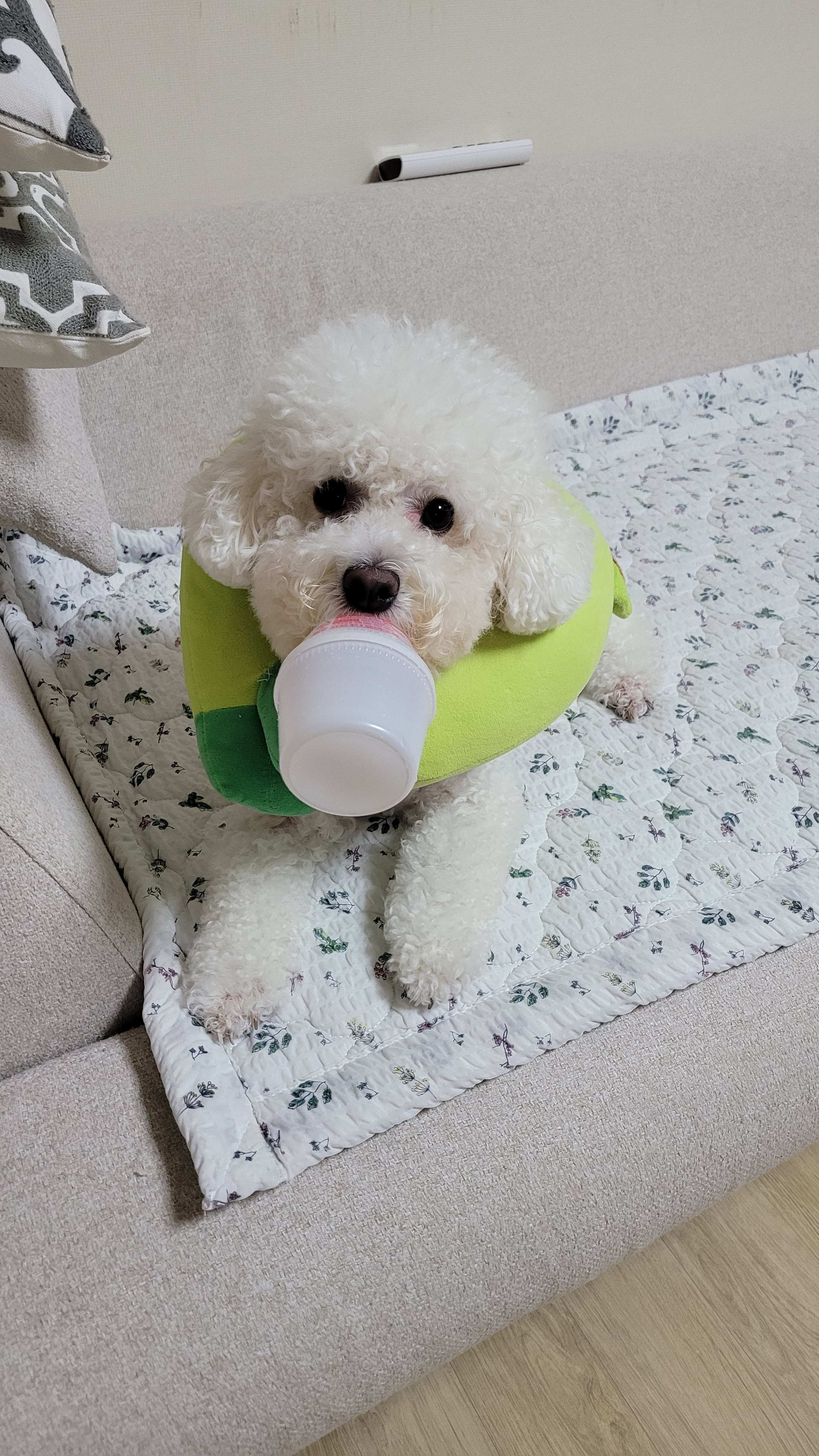 프로필 이미지