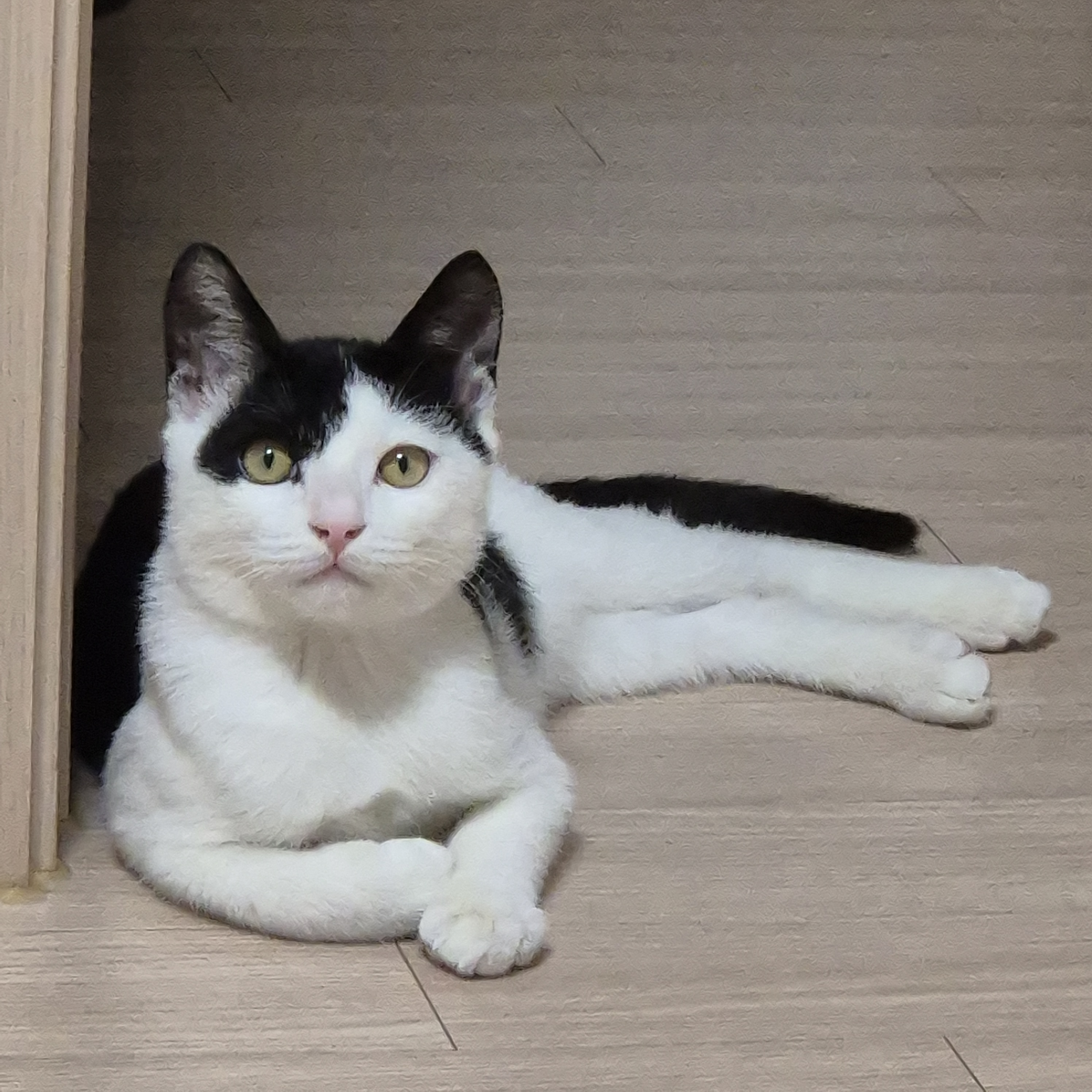 프로필 이미지