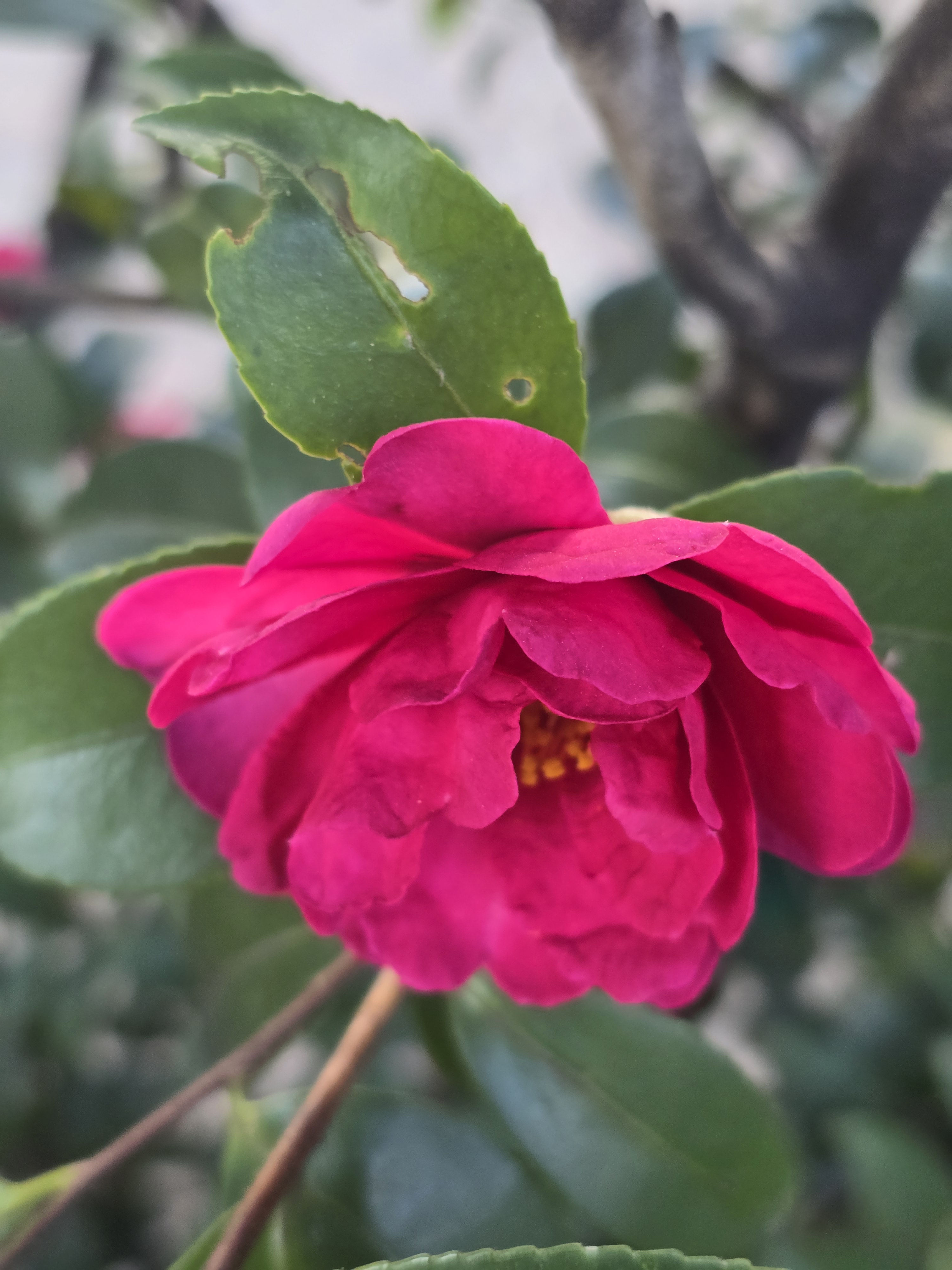 프로필 이미지