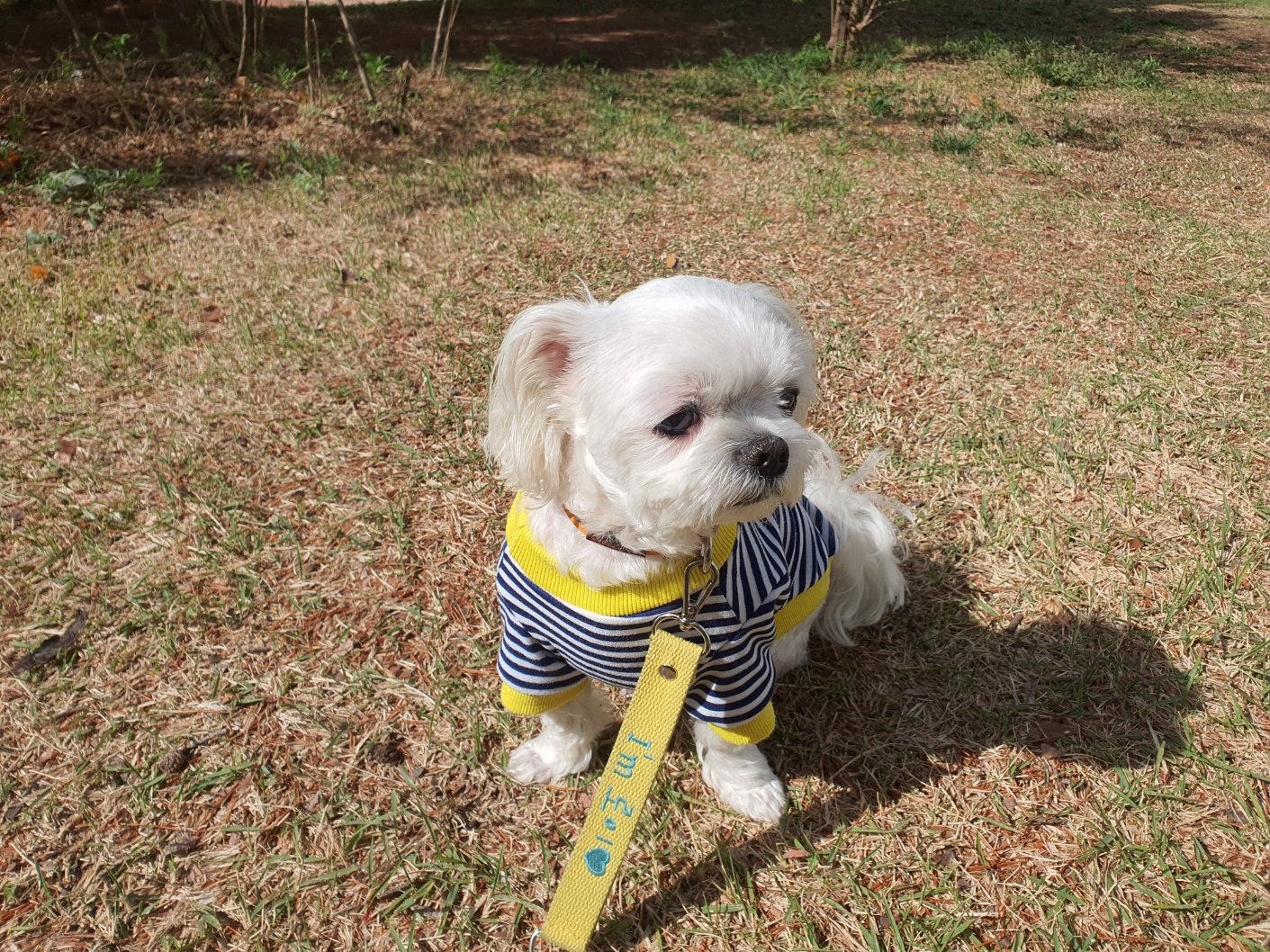 프로필 이미지